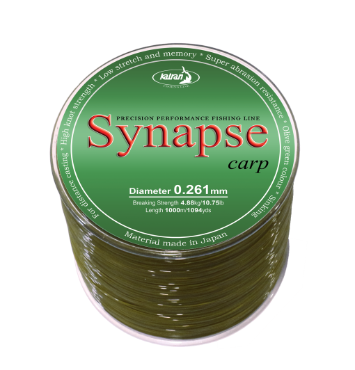 Synapse carp